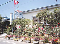 新潟あゆみ幼稚園